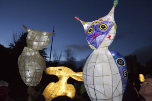 bradford lantern parade 2015 6 sm.jpg